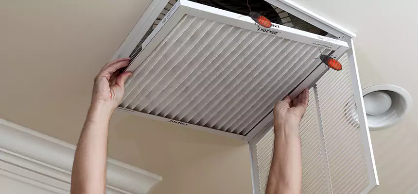 Preventive Cockroach-Proofing for Ducts in West Falls Church