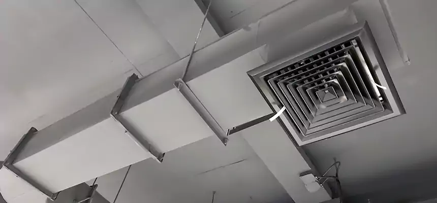 Our Pest Removal From Ducts Services in West Falls Church, VA