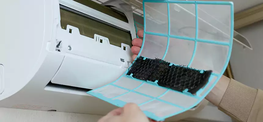 Gentle Ductwork Odor-Control Pet Dander Duct Cleaning in West Falls Church, VA