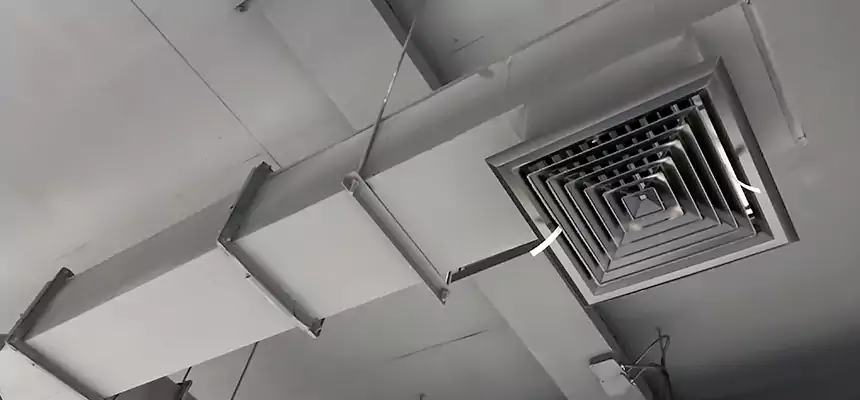 Our Rodent Droppings In Vents Services in West Falls Church, VA