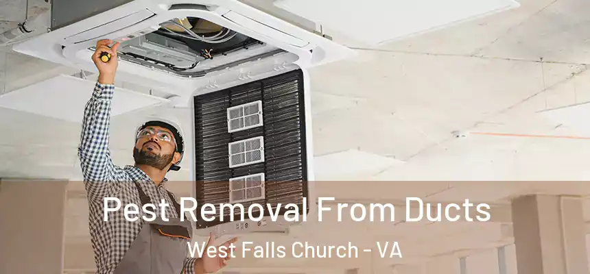  Pest Removal From Ducts West Falls Church - VA