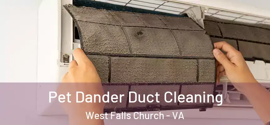 Pet Dander Duct Cleaning West Falls Church - VA