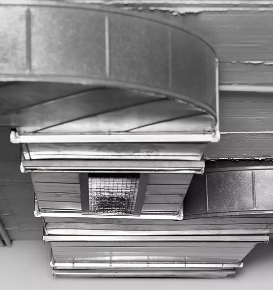 Professional Air Duct Pest Removal in West Falls Church, VA