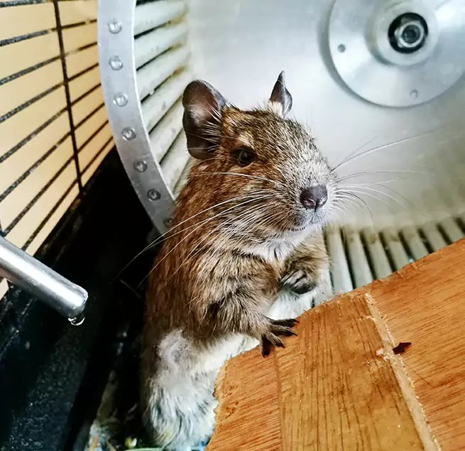 Why Homeowners & Businesses Trust Us West Falls Church, VA